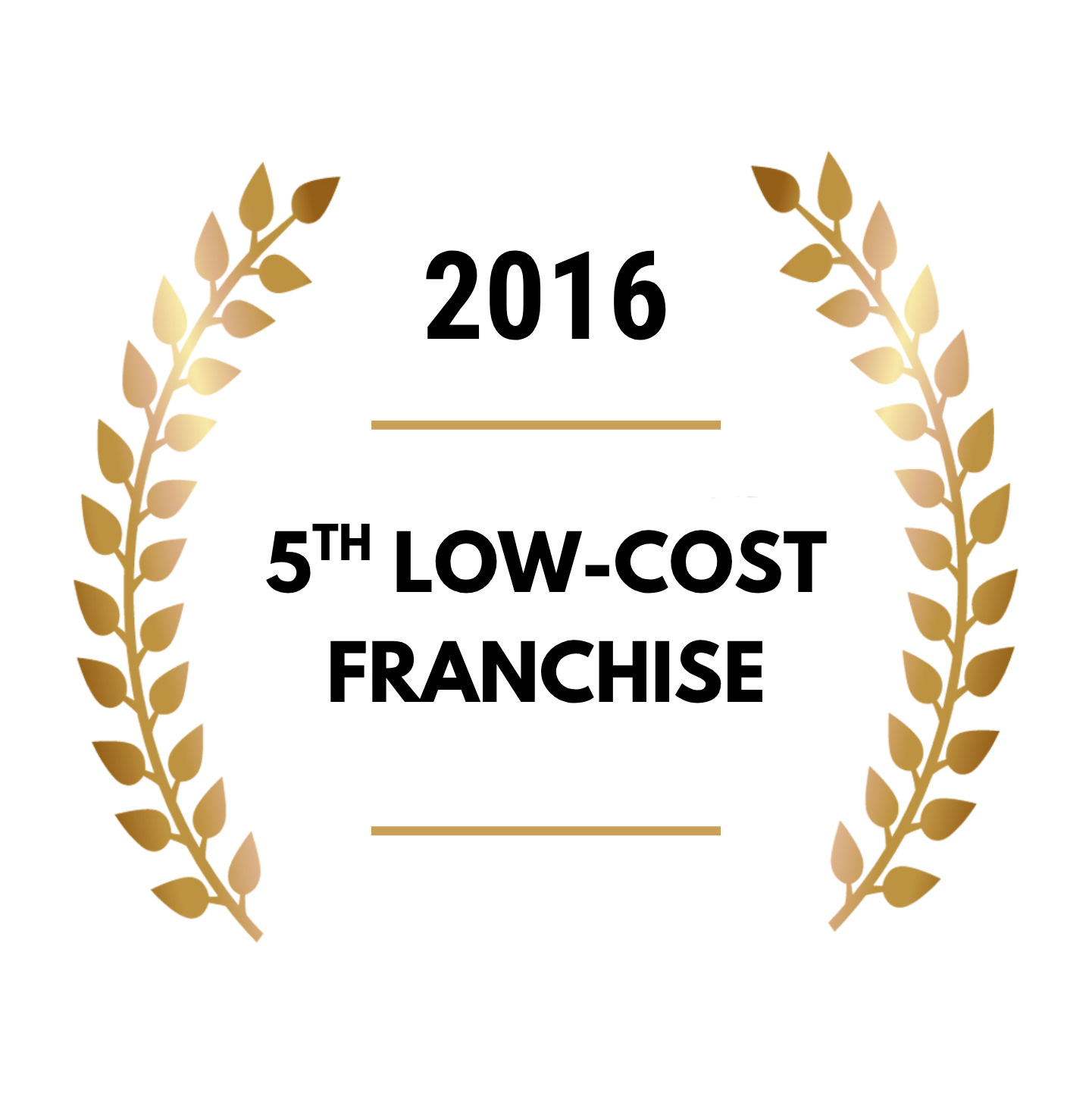 2016 5th Low cost